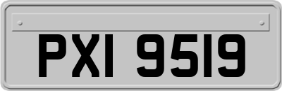 PXI9519