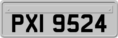 PXI9524