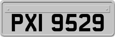 PXI9529