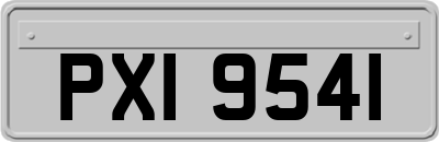 PXI9541