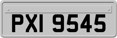 PXI9545