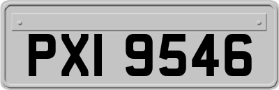 PXI9546