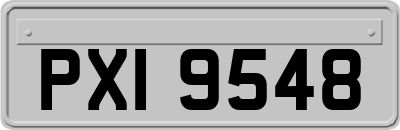 PXI9548