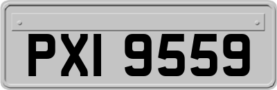 PXI9559