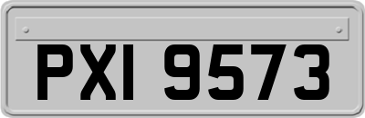 PXI9573