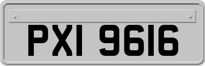 PXI9616