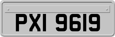 PXI9619