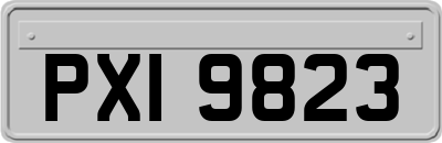 PXI9823