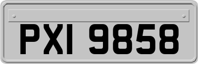 PXI9858