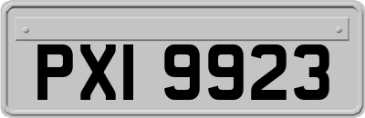 PXI9923