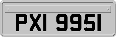 PXI9951