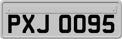 PXJ0095