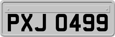 PXJ0499