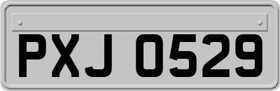 PXJ0529