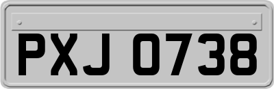 PXJ0738