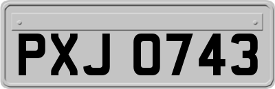 PXJ0743