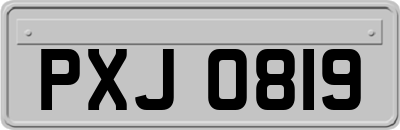 PXJ0819