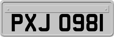 PXJ0981