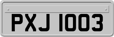 PXJ1003