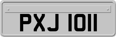 PXJ1011