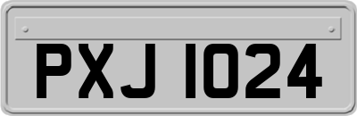 PXJ1024