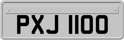 PXJ1100