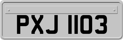 PXJ1103