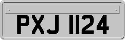 PXJ1124