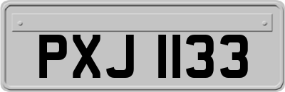 PXJ1133