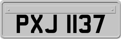 PXJ1137