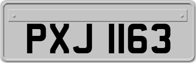 PXJ1163