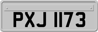 PXJ1173