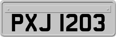 PXJ1203