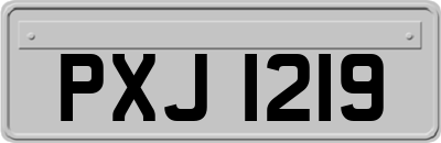 PXJ1219