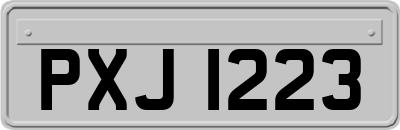 PXJ1223