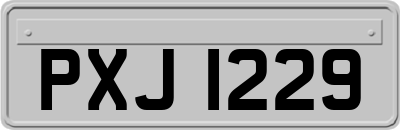 PXJ1229