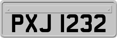 PXJ1232