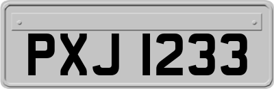 PXJ1233