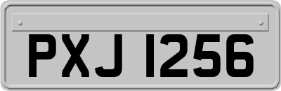 PXJ1256