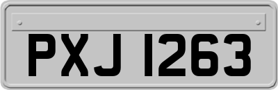 PXJ1263