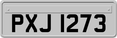 PXJ1273