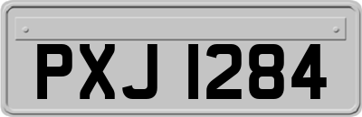 PXJ1284