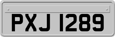 PXJ1289