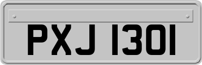 PXJ1301