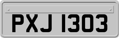 PXJ1303