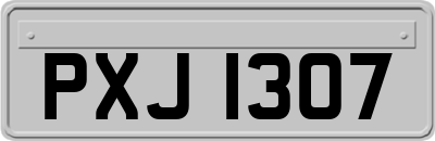 PXJ1307