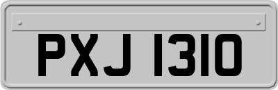 PXJ1310