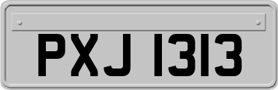 PXJ1313