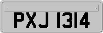 PXJ1314