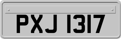 PXJ1317